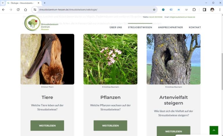 Webseite Streuobstzentrum Hessen - Ökologie